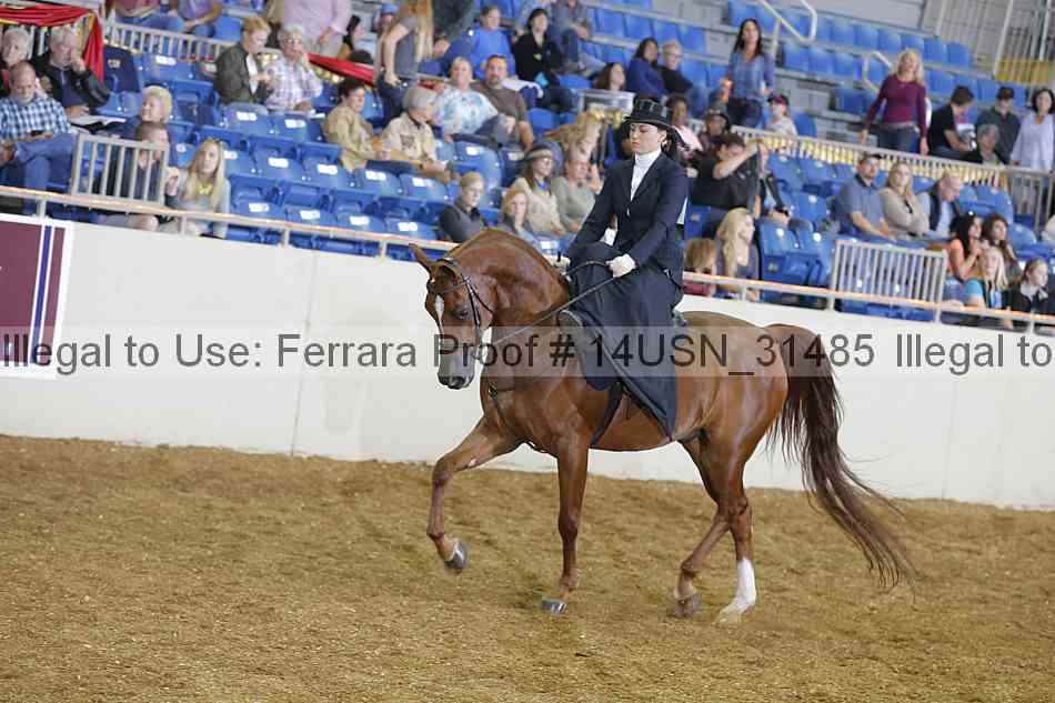 Proof 14usn_31485