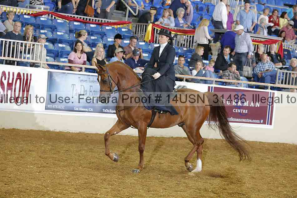Proof 14usn_31486