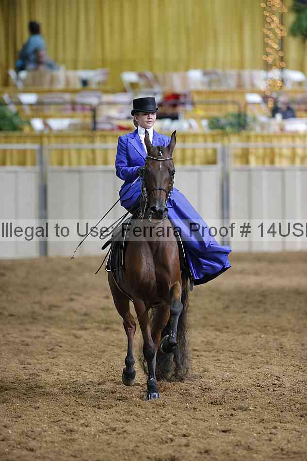 Proof 14usn_31487