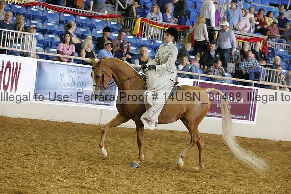 Proof 14usn_31488