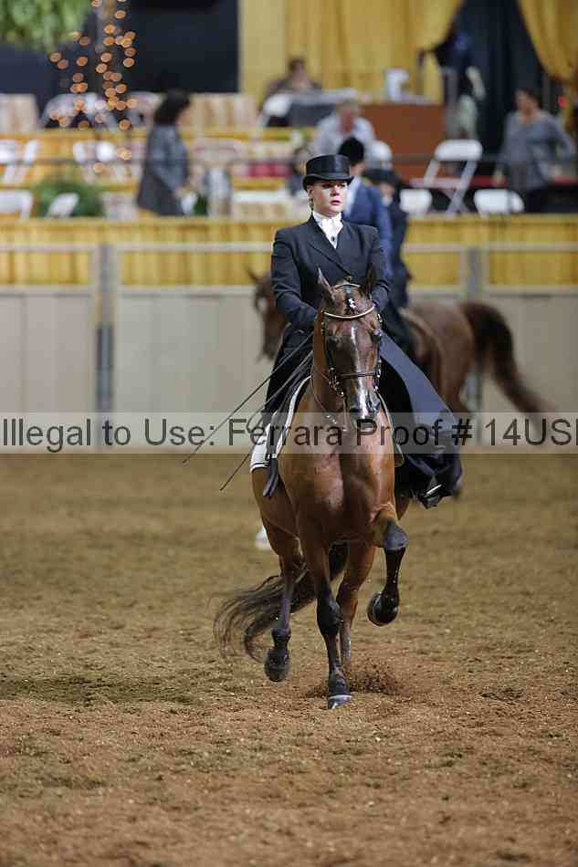 Proof 14usn_31489