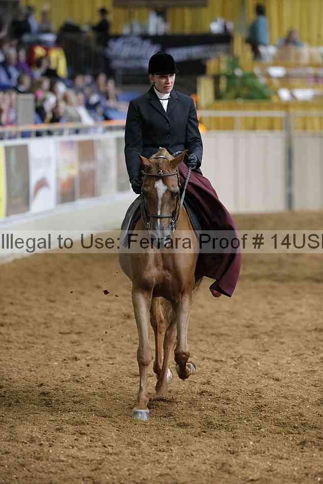 Proof 14usn_31490