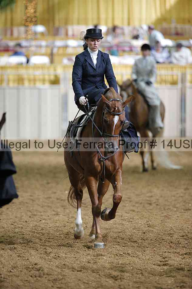 Proof 14usn_31492