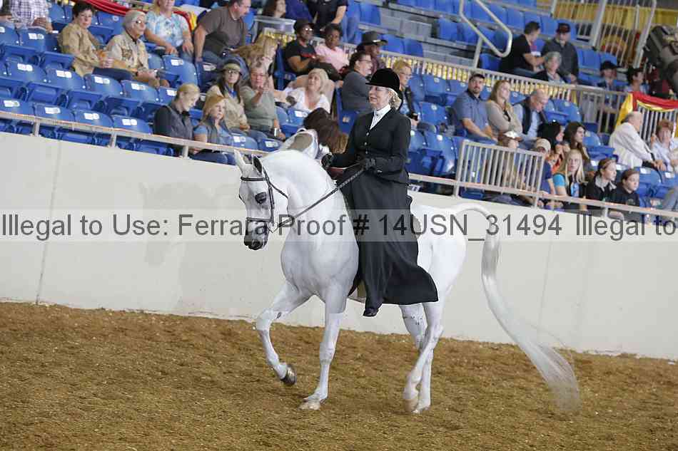 Proof 14usn_31494