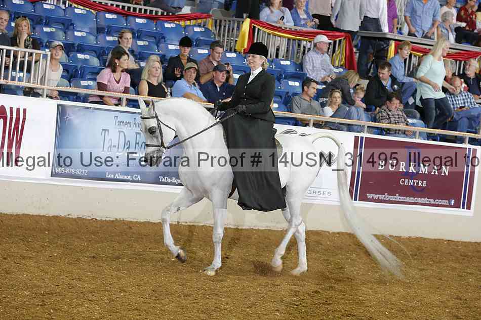 Proof 14usn_31495