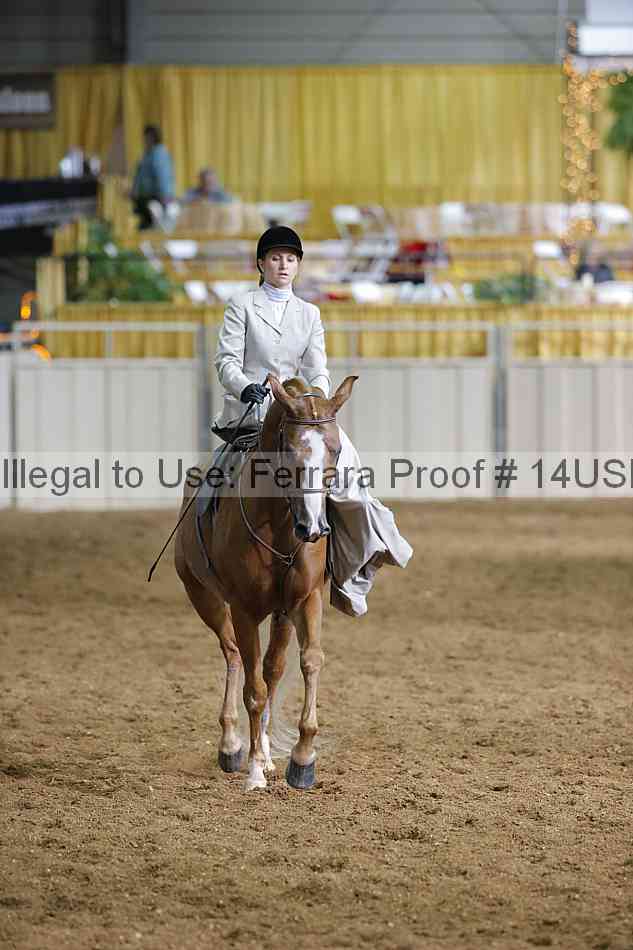 Proof 14usn_31496