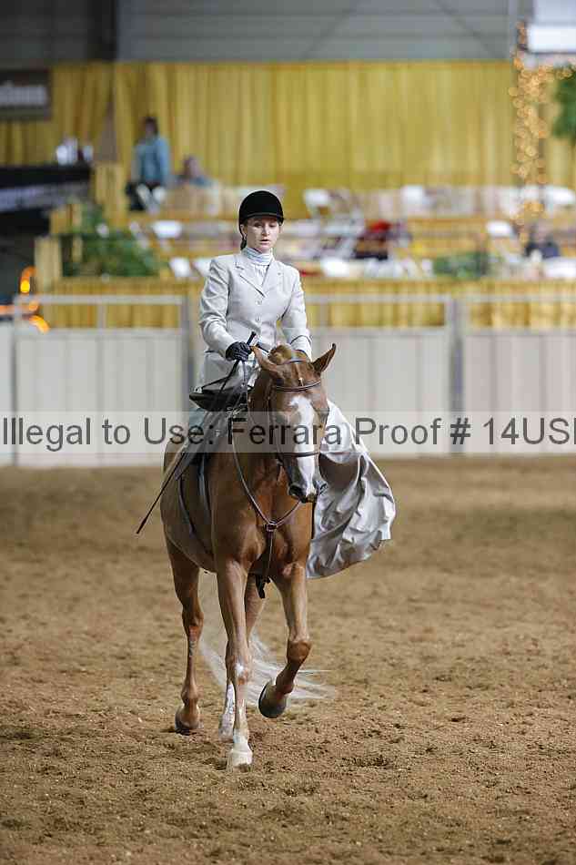 Proof 14usn_31497