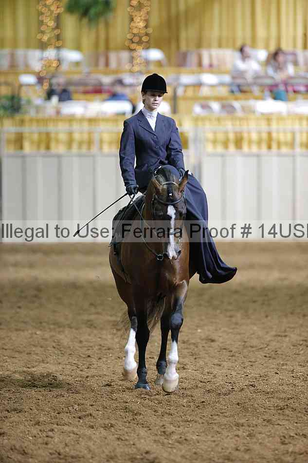 Proof 14usn_31499
