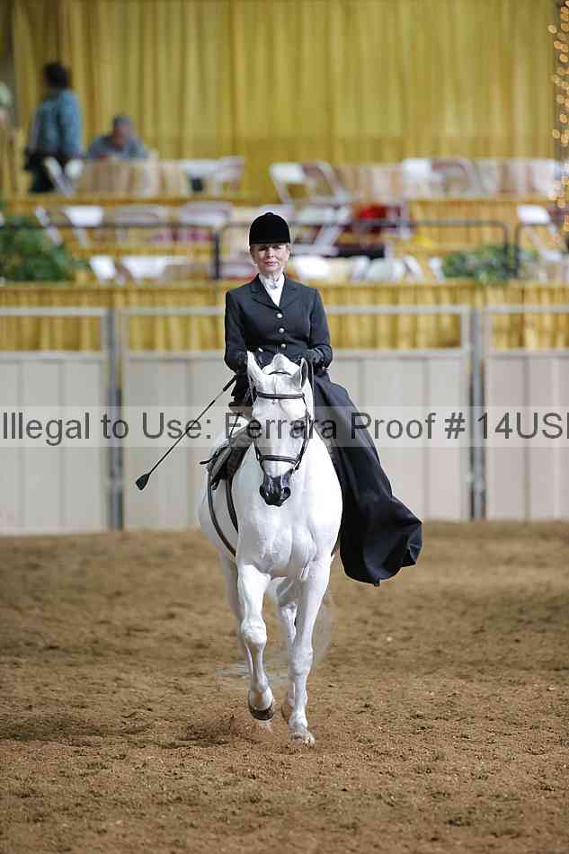 Proof 14usn_31502