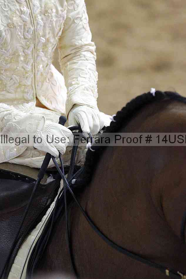 Proof 14usn_31511