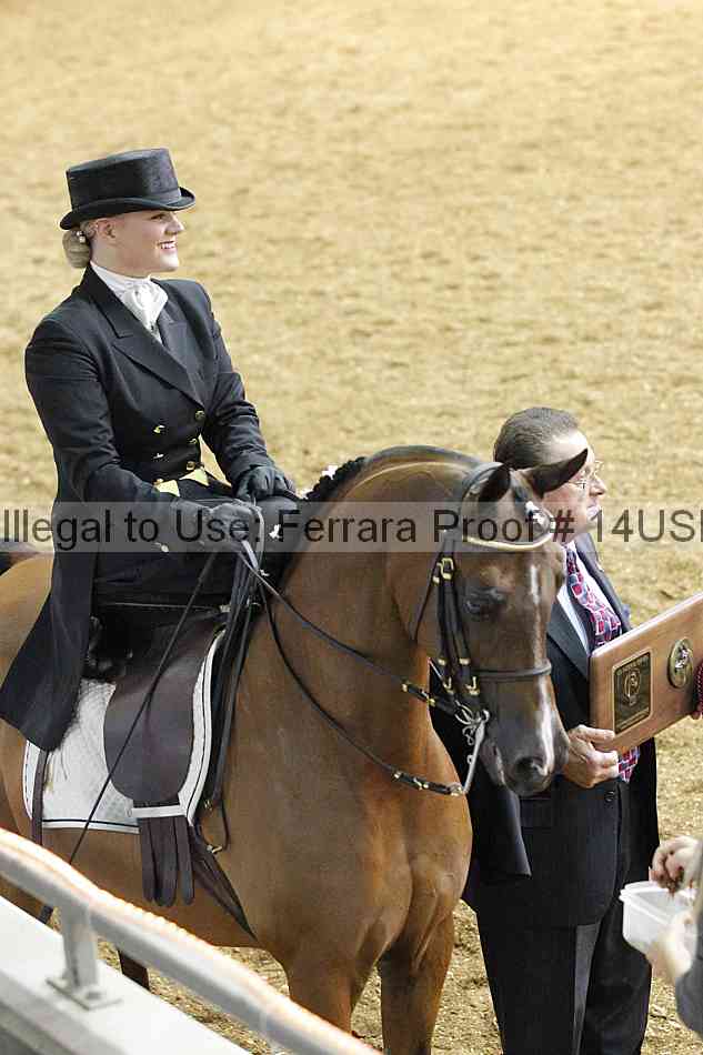 Proof 14usn_31519