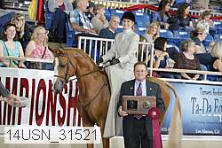 14usn_31521 proof