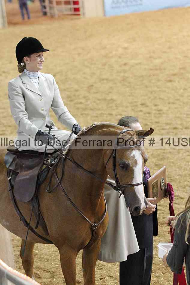 Proof 14usn_31524