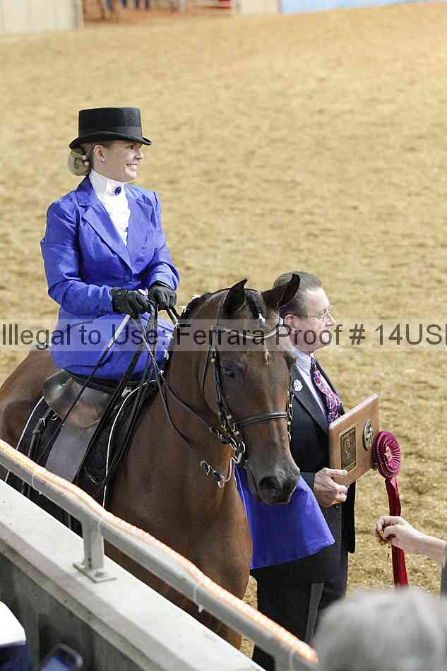 Proof 14usn_31538