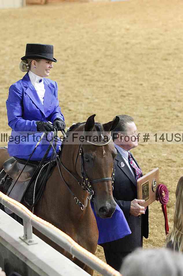 Proof 14usn_31539