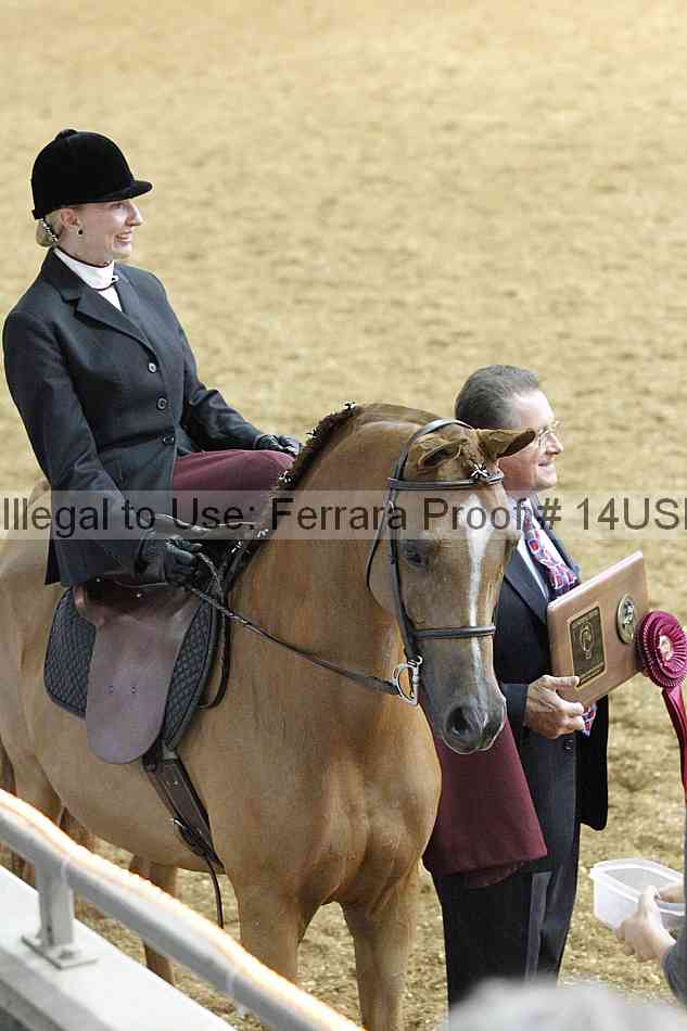 Proof 14usn_31541