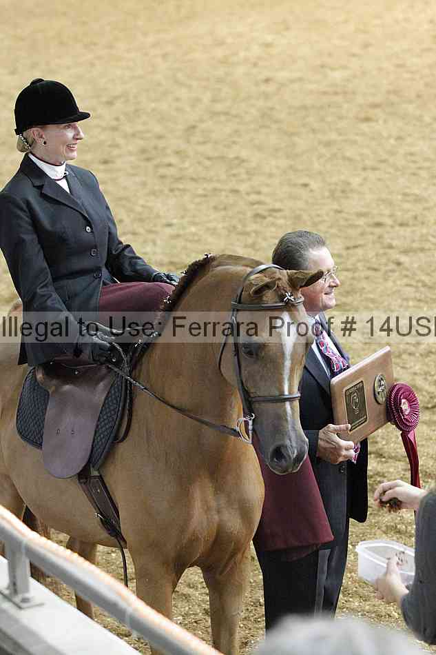 Proof 14usn_31542