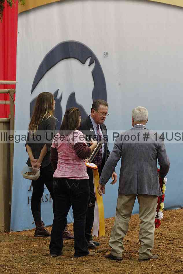 Proof 14usn_31554