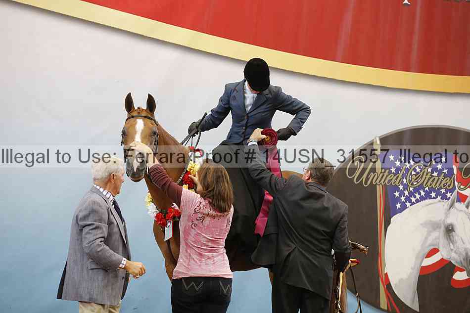 Proof 14usn_31557