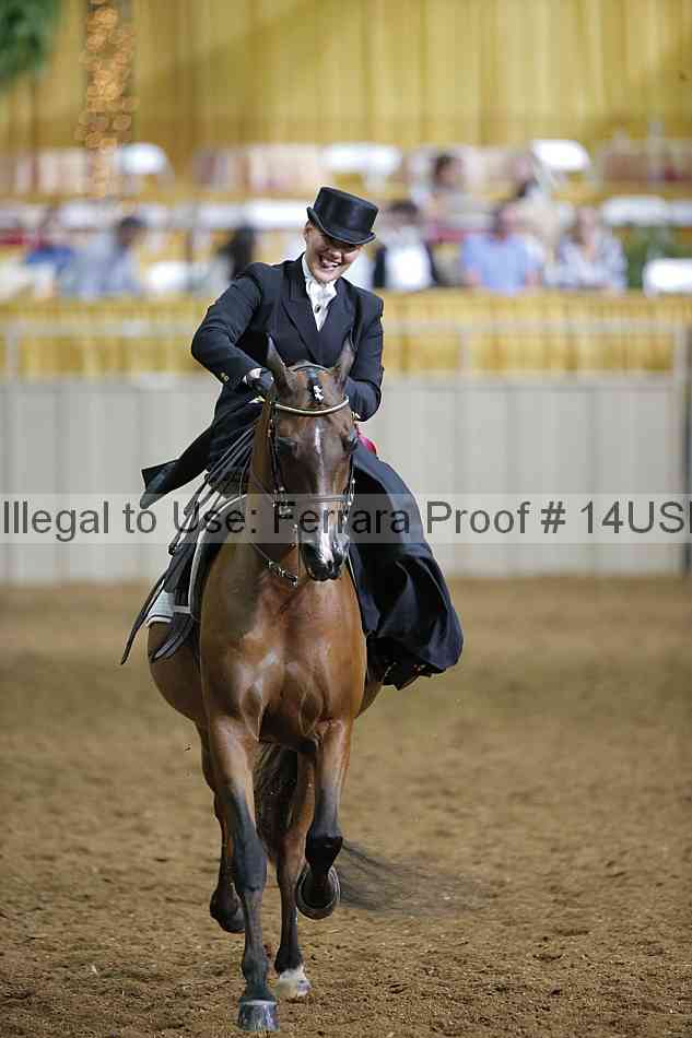 Proof 14usn_31568