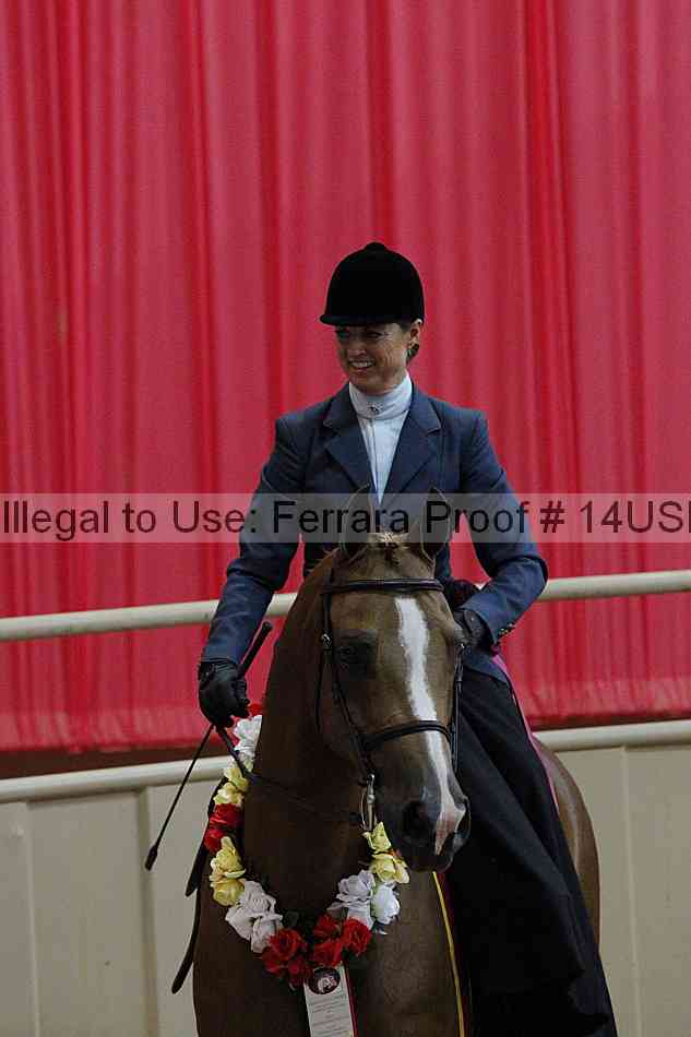 Proof 14usn_31573