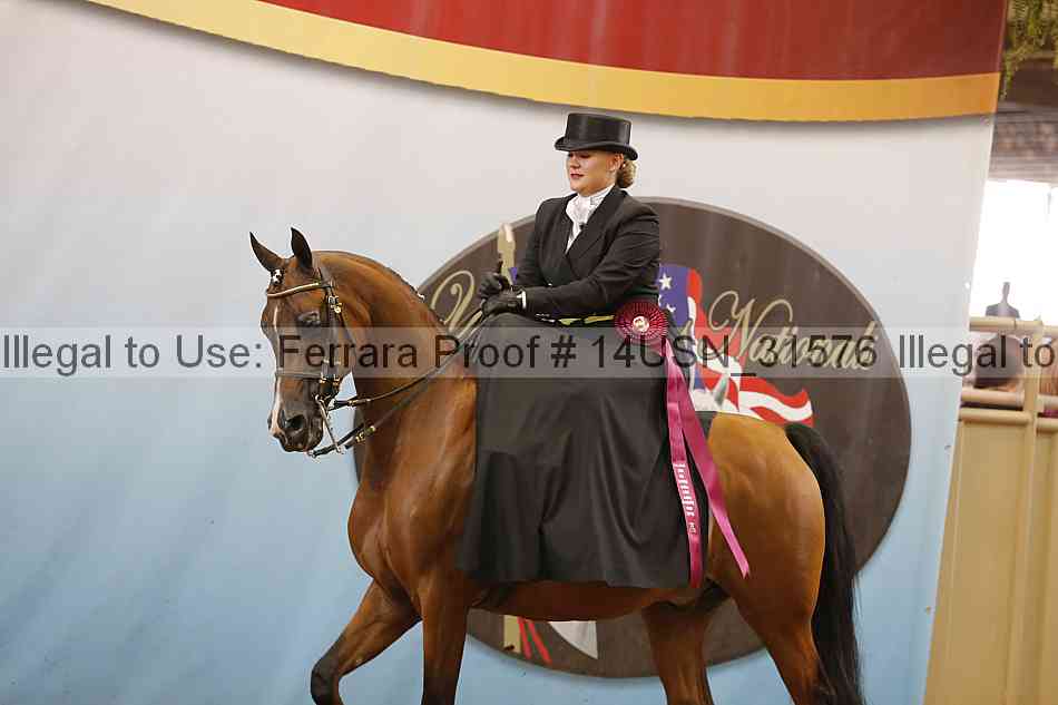 Proof 14usn_31576