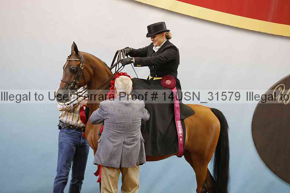 Proof 14usn_31579