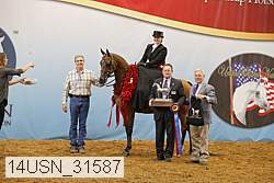 14usn_31587 proof