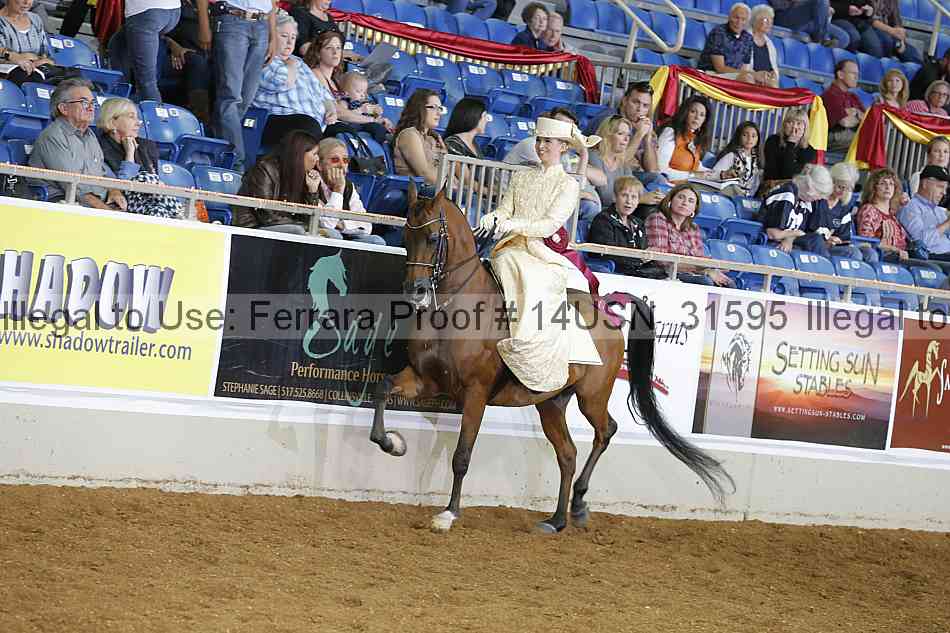 Proof 14usn_31595