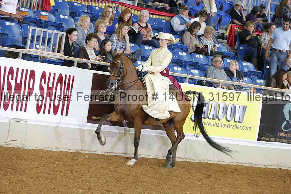 Proof 14usn_31597