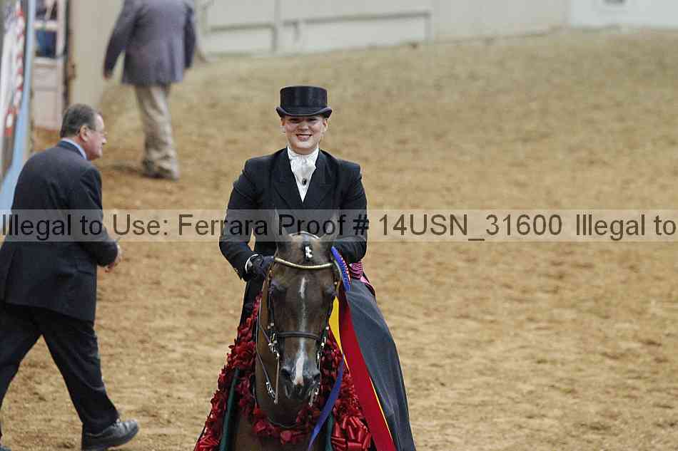 Proof 14usn_31600