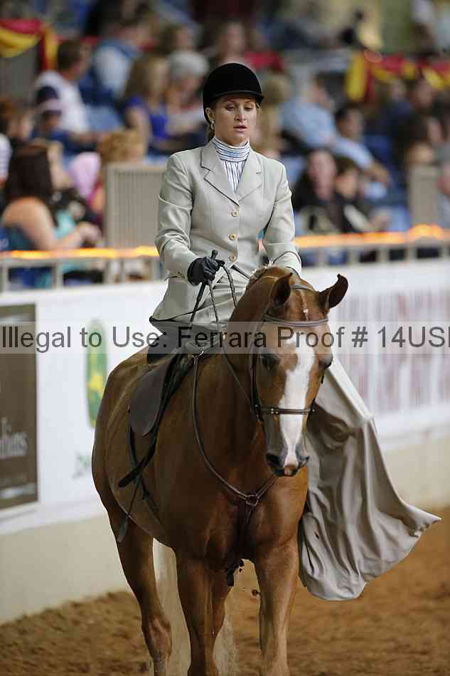 Proof 14usn_31607
