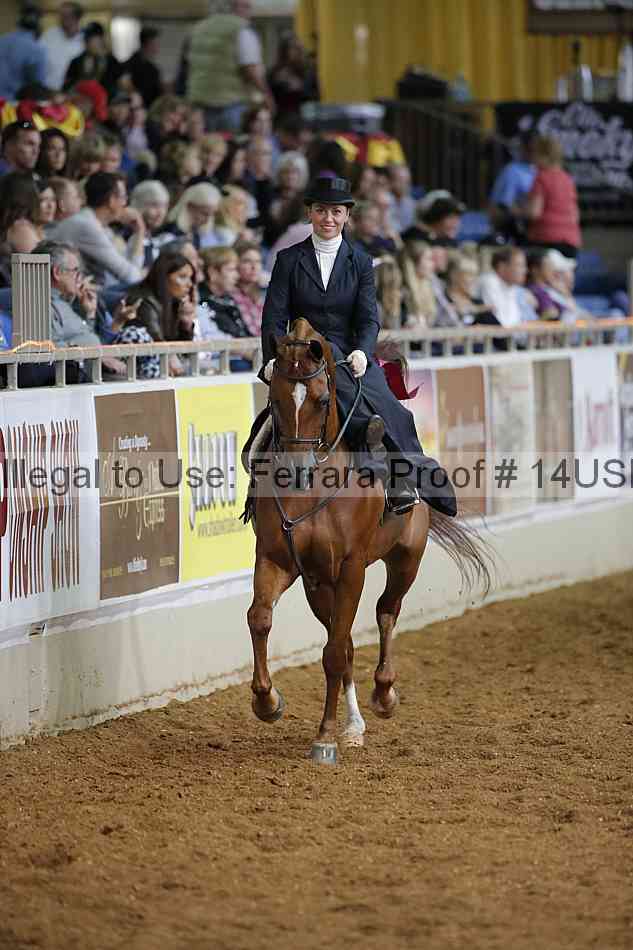 Proof 14usn_31611