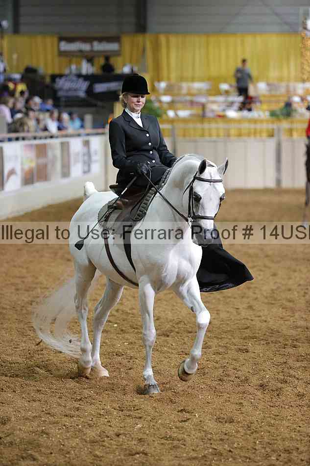 Proof 14usn_31629