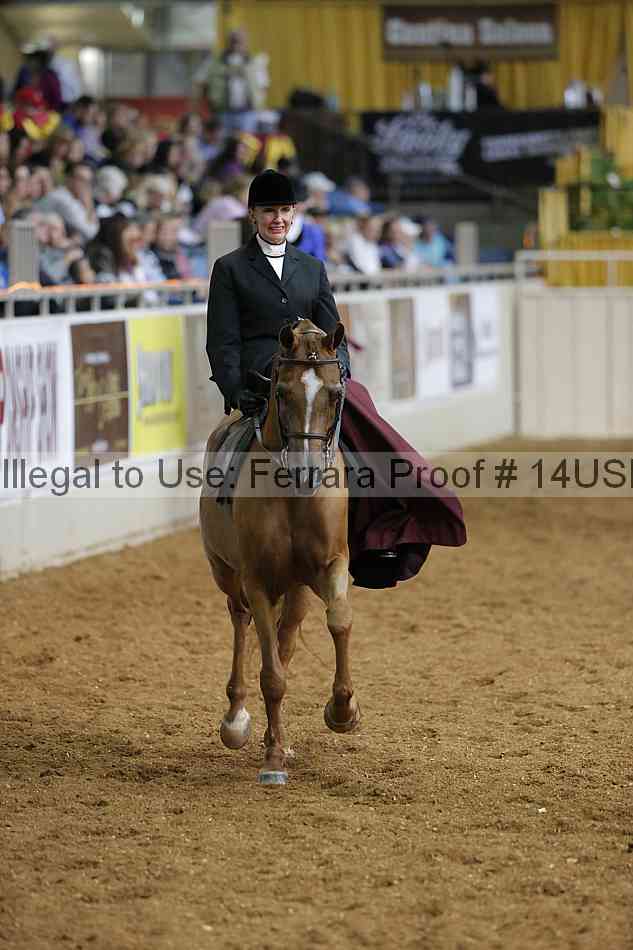Proof 14usn_31644