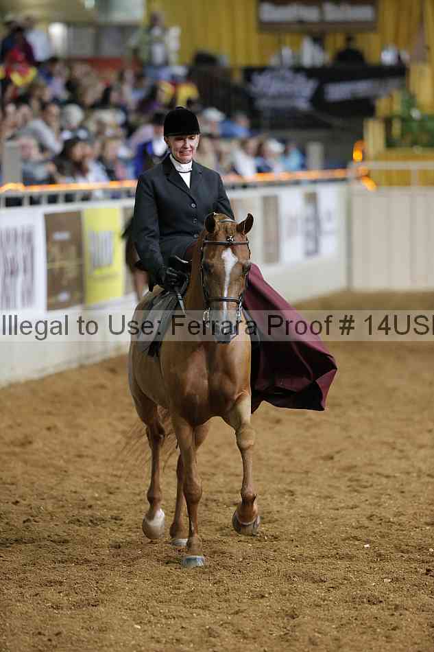 Proof 14usn_31646