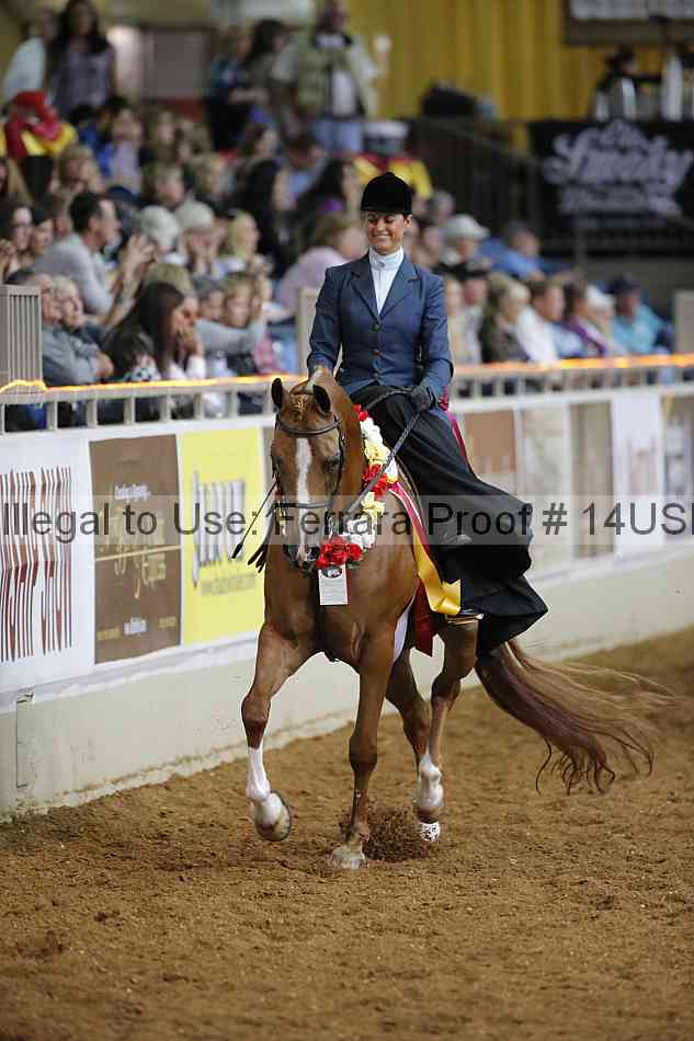 Proof 14usn_31660