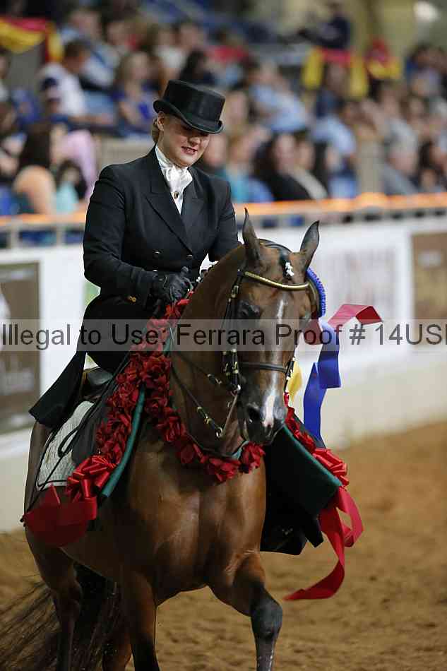 Proof 14usn_31677