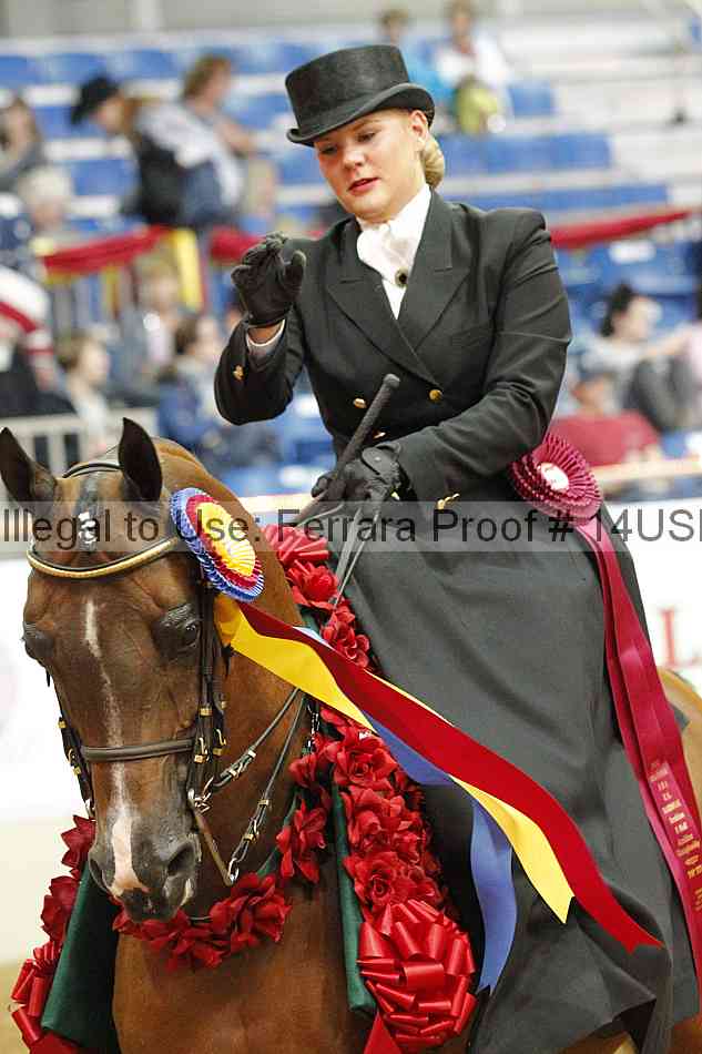 Proof 14usn_31692