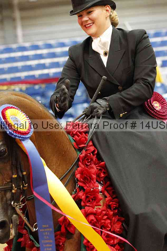 Proof 14usn_31693