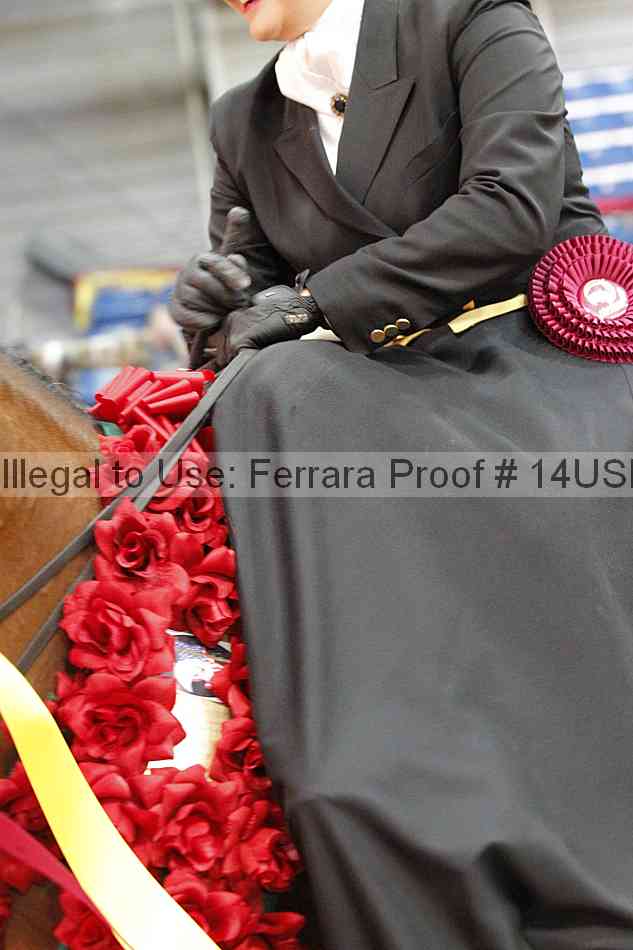 Proof 14usn_31694