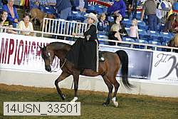 14usn_33501 proof