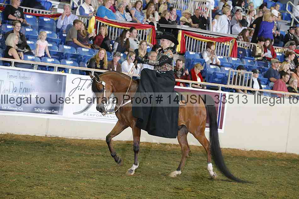 Proof 14usn_33513