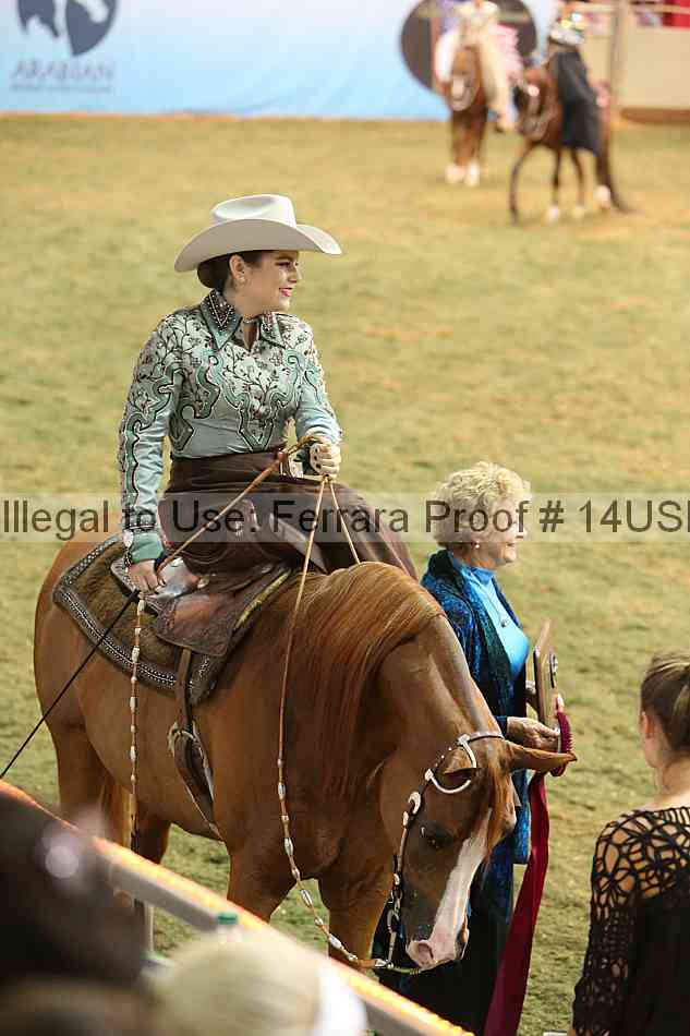 Proof 14usn_33526