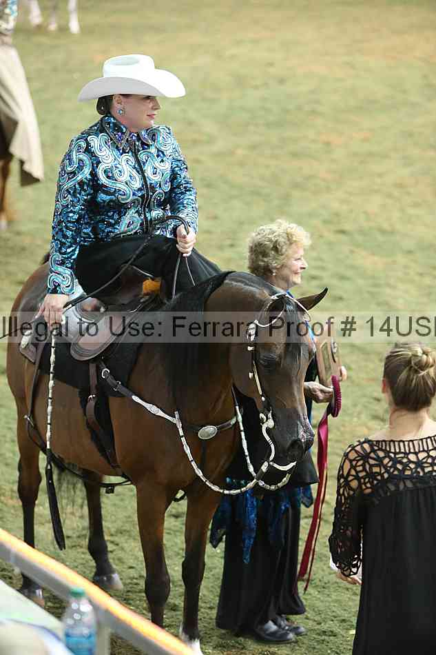 Proof 14usn_33534