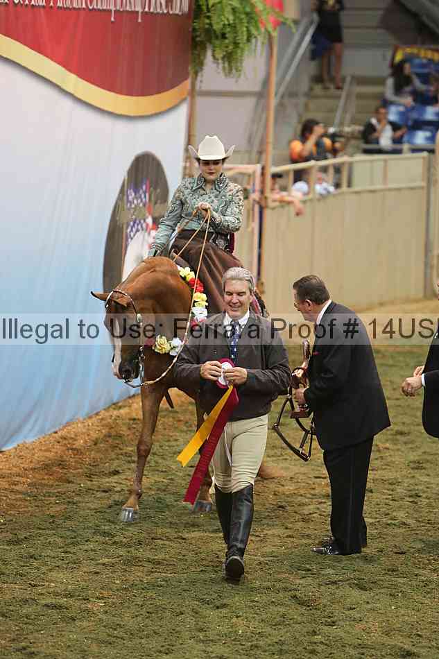 Proof 14usn_33553