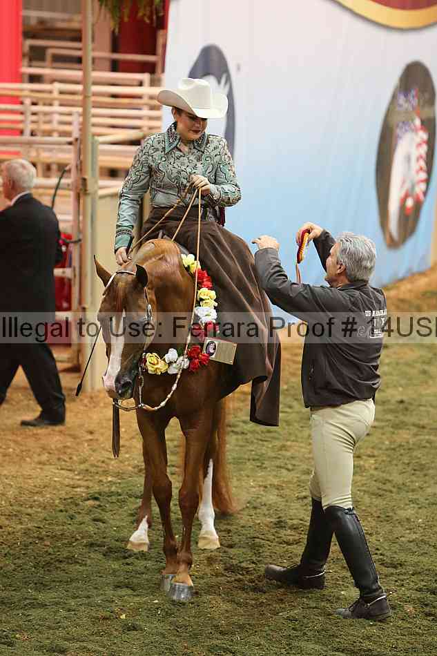 Proof 14usn_33555