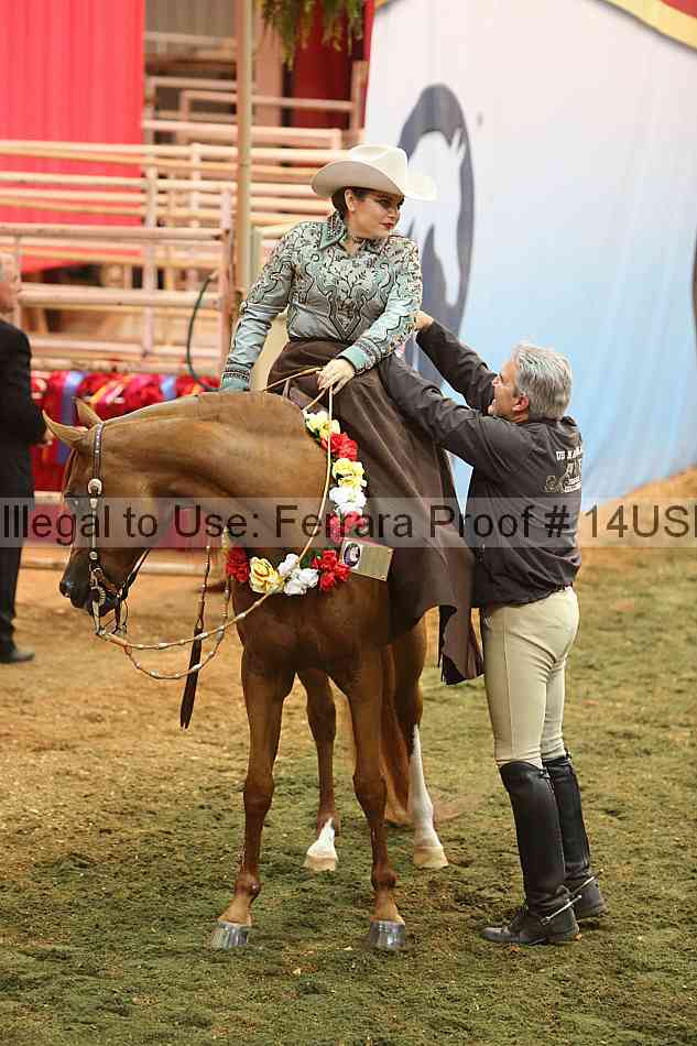 Proof 14usn_33556