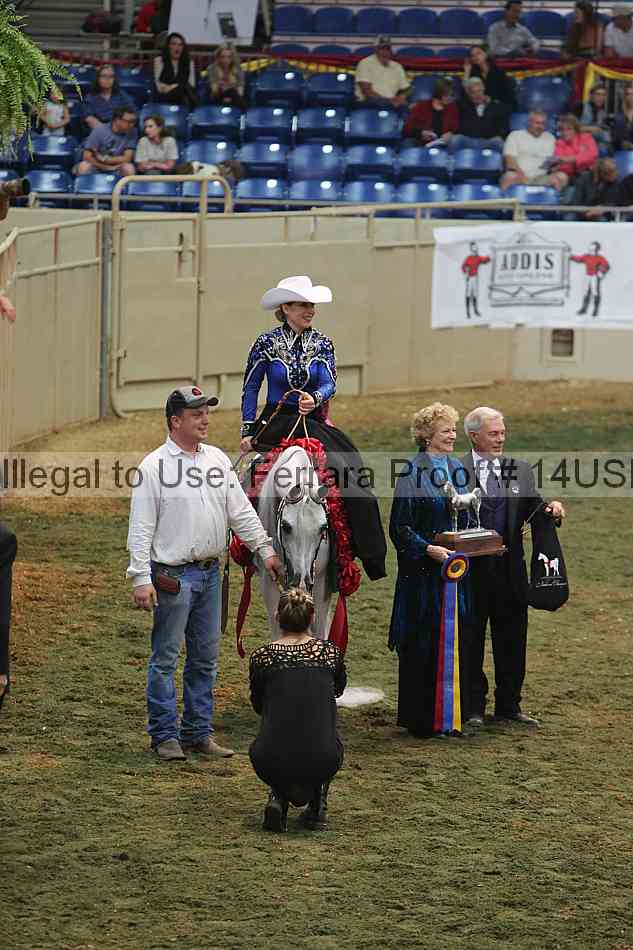 Proof 14usn_33580