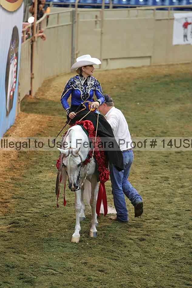 Proof 14usn_33585